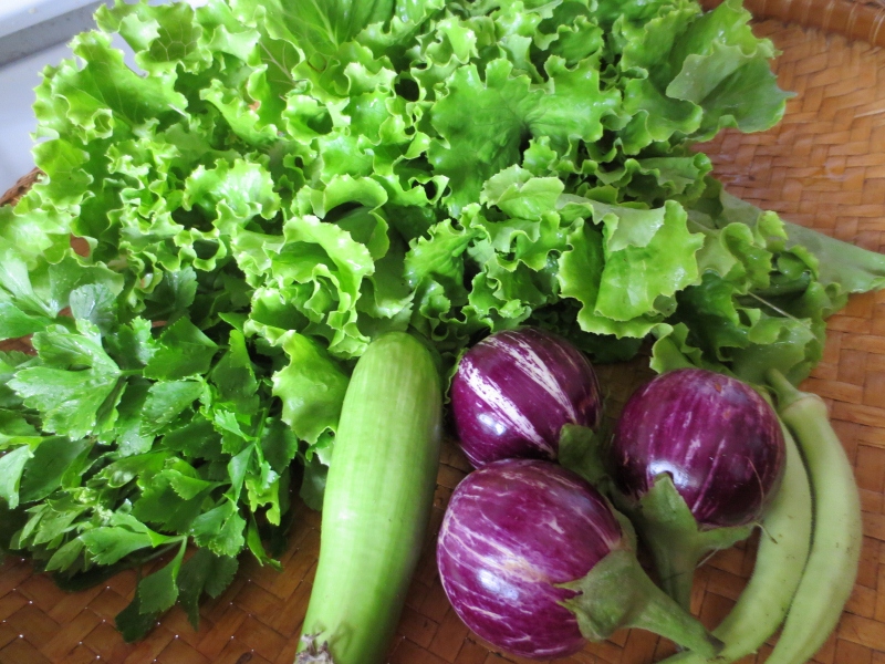 Lettuce plus