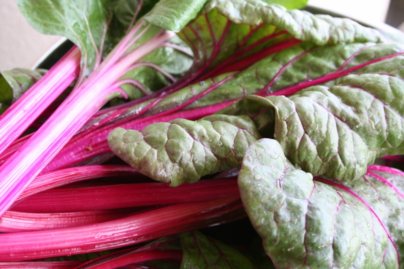 Swiss Chard