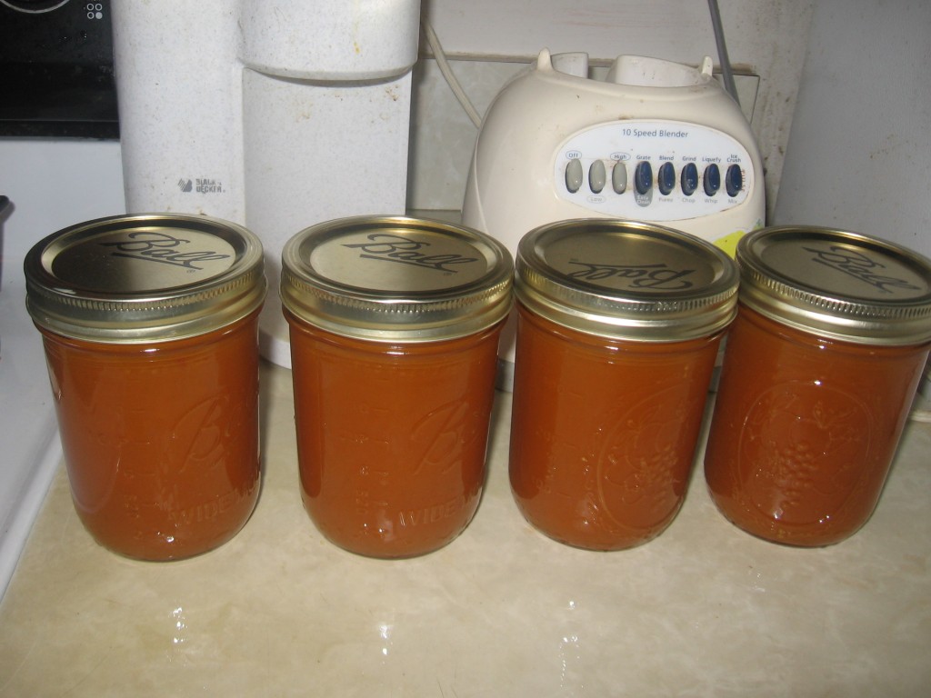 Mango Jams